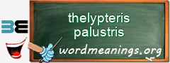 WordMeaning blackboard for thelypteris palustris